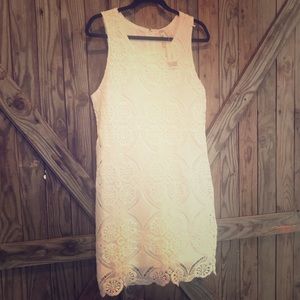 Japna White lace/Crochet Sheath Dress